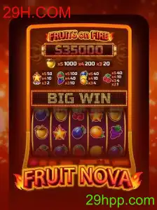 Descubra o Fascinante Mundo de 'FruitNova': Regras e Estratégias