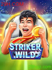 Explorando o Universo Emocionante de StrikerWILD com 29H.COM